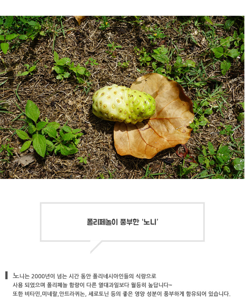 [난다라이프] 노니환 200g 상세 4