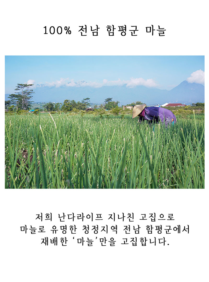 nd4_d20_6.jpg