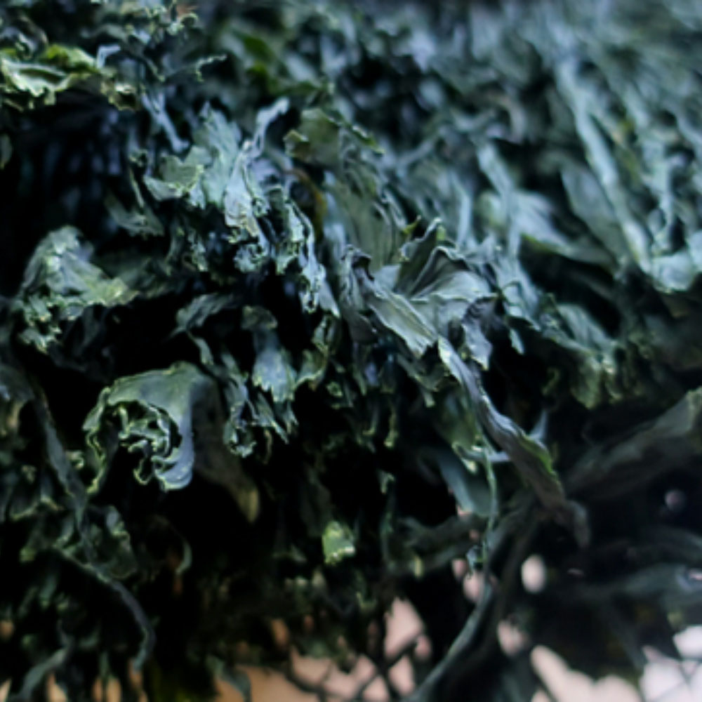 완도 건미역 500g(정품)