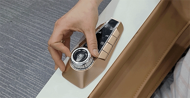 sapa4_d10.gif