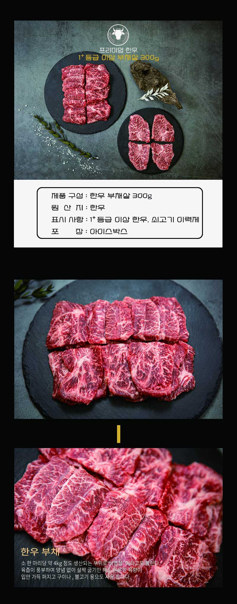 ems_1201_13v2.jpg