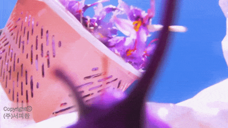 epark1_d4.gif