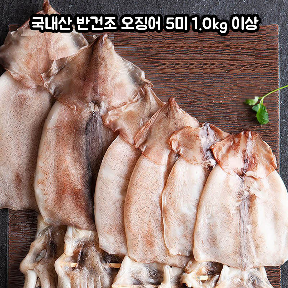 구룡포 국내산 반건조 오징어 5미 1.0kg 이상