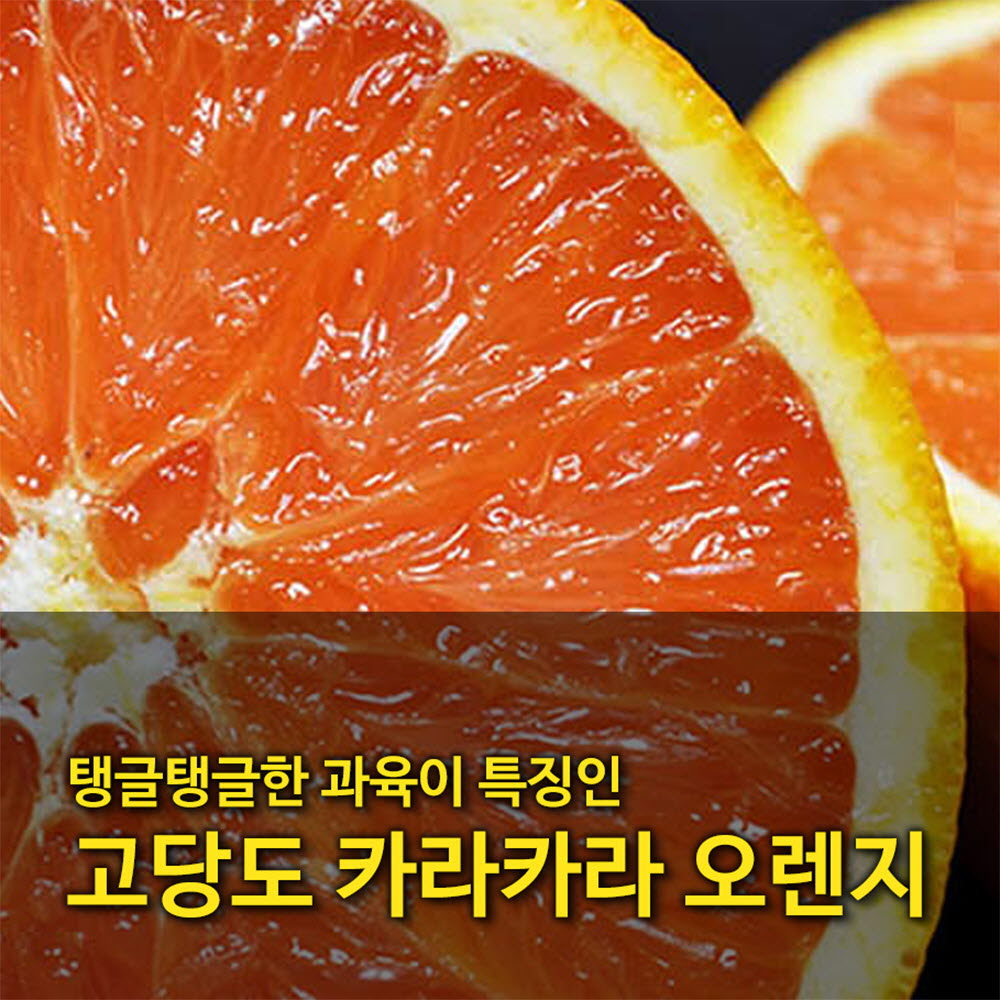 [수입과일] 호주산 고당도 카라카라오렌지 39-41과 8kg