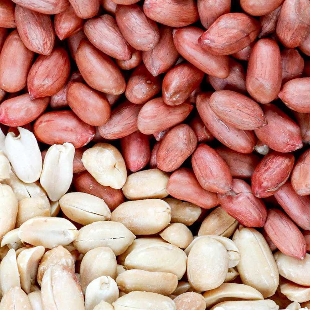 대용량 볶은 레드땅콩 누드땅콩 400g + 400g