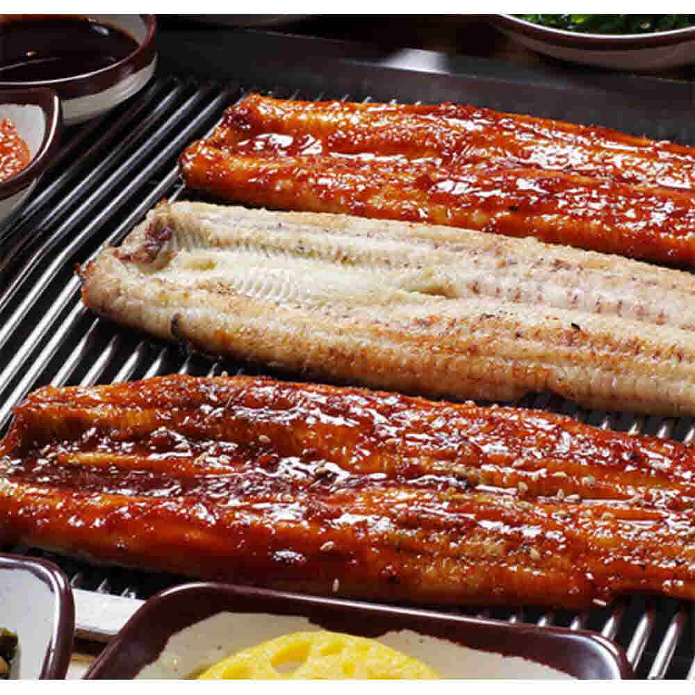 숨긴장어1kg(풍천장어국내산) 생물