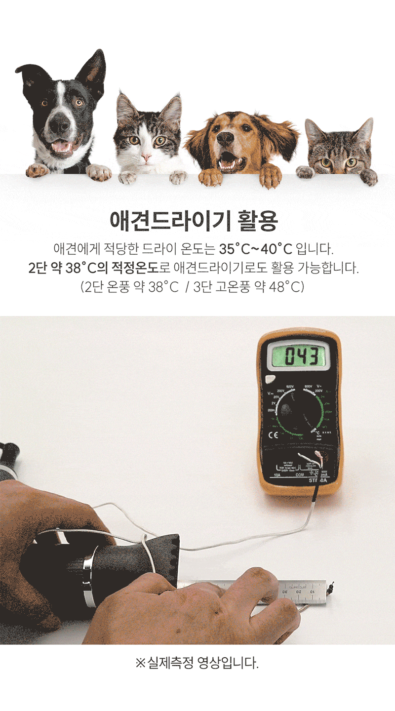 wmg01-d05.gif