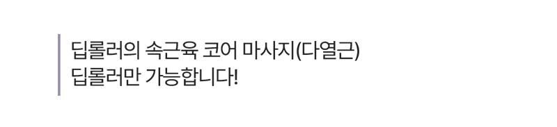 코어다이어트 딥롤러 액티베이터 상세 35