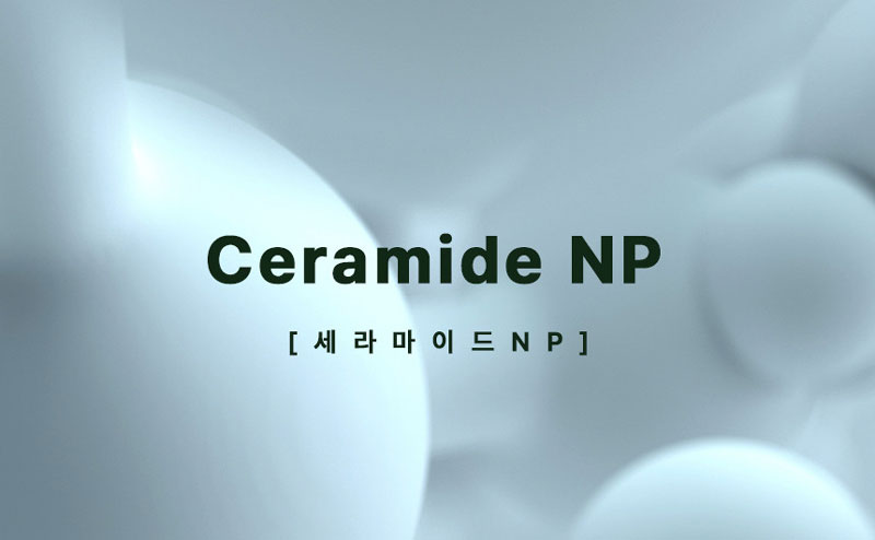 메디셀바이오 아토 에센셜 퍼펙트 크림 100ml 3+1 상세 3