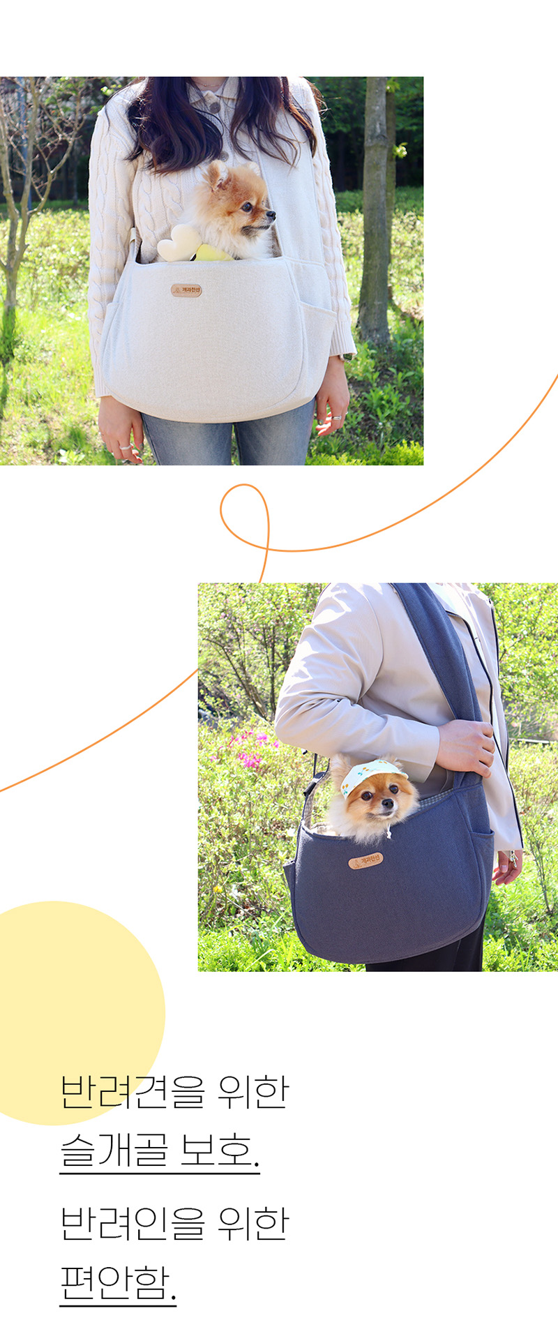 dog-d49-17.jpg