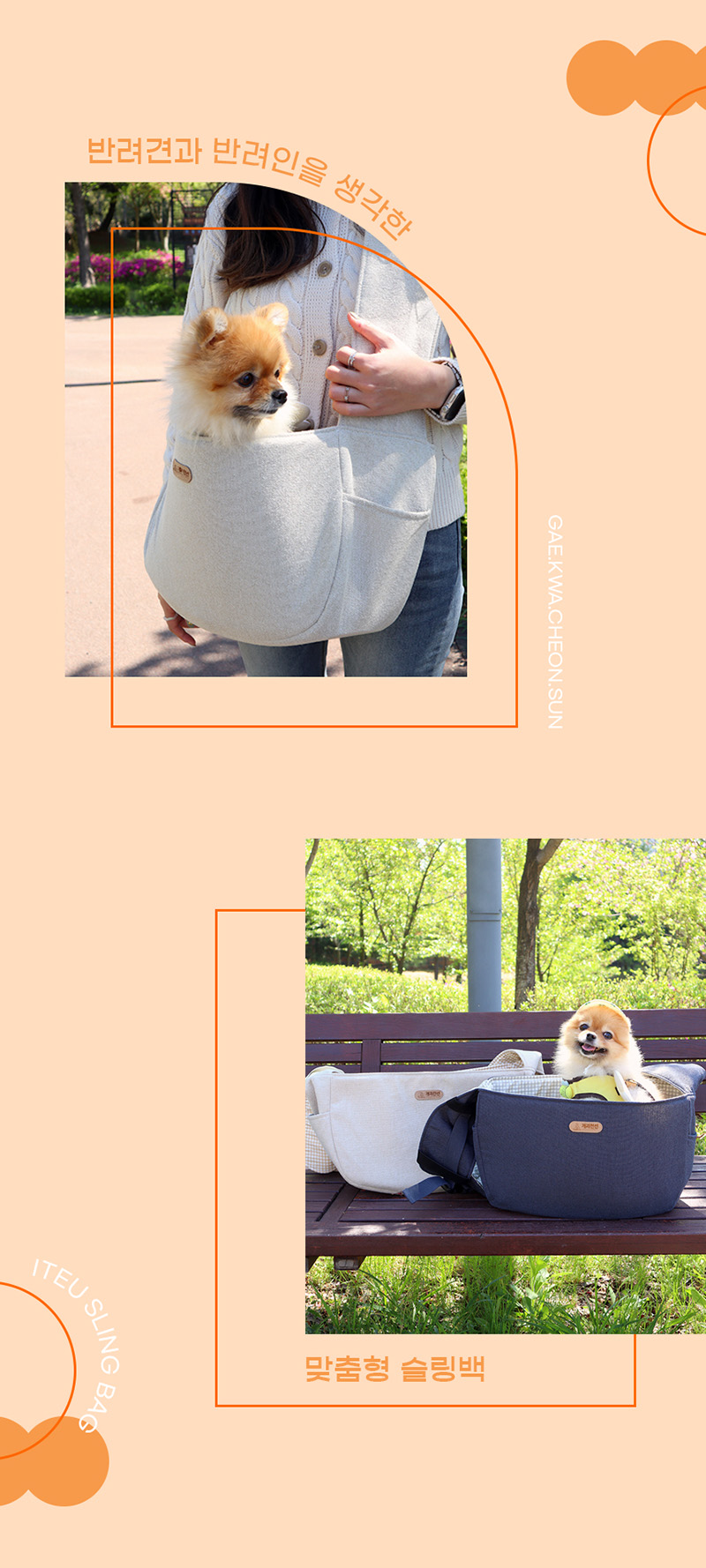 dog-d49-6.jpg