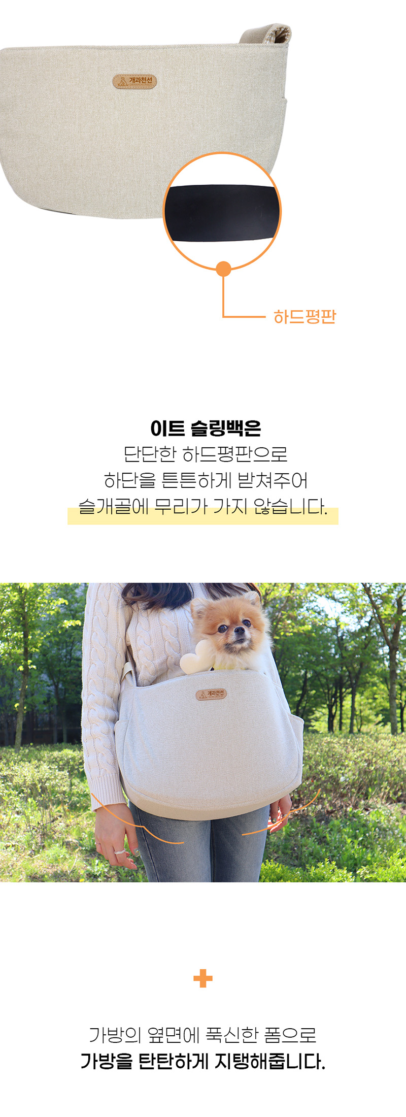 dog-d49-8.jpg