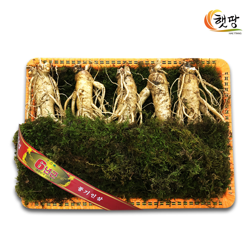 [소백스토어] [햇땅] 인삼명장 6년근 인삼선물세트 특선1호_특대5~6편_등바구니포장