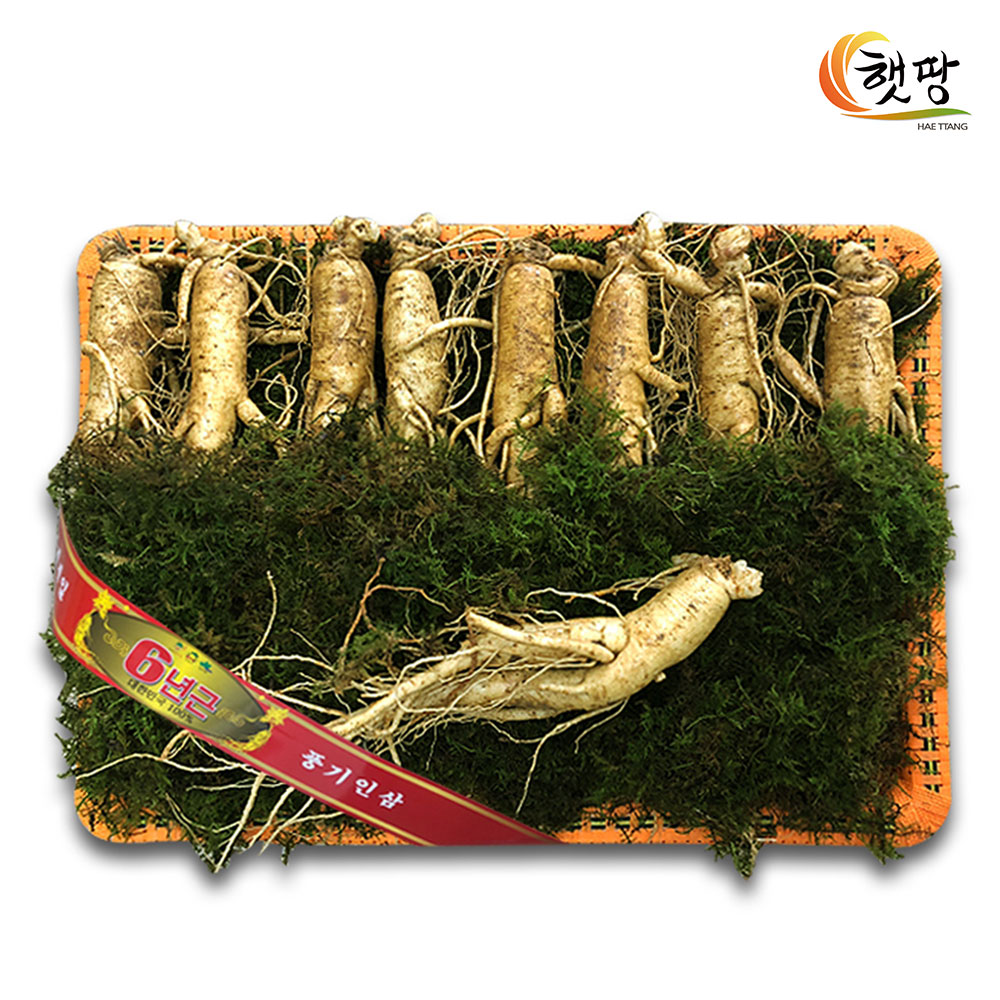 [소백스토어] [햇땅] 인삼명장 6년근 인삼선물세트 특선2호_대8~9편_등바구니포장