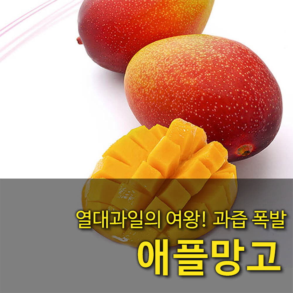 [수입과일] 당도가 높고 향이 뛰어나 맛있는 브라질 애플망고 4-6과 2kg