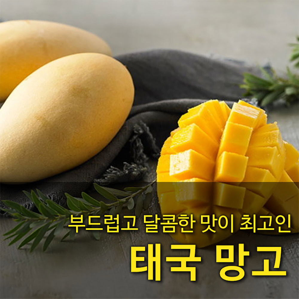 [수입과일] 부드럽고 달콤한 맛이 최고인 태국 골드 망고 2kg 4-7과
