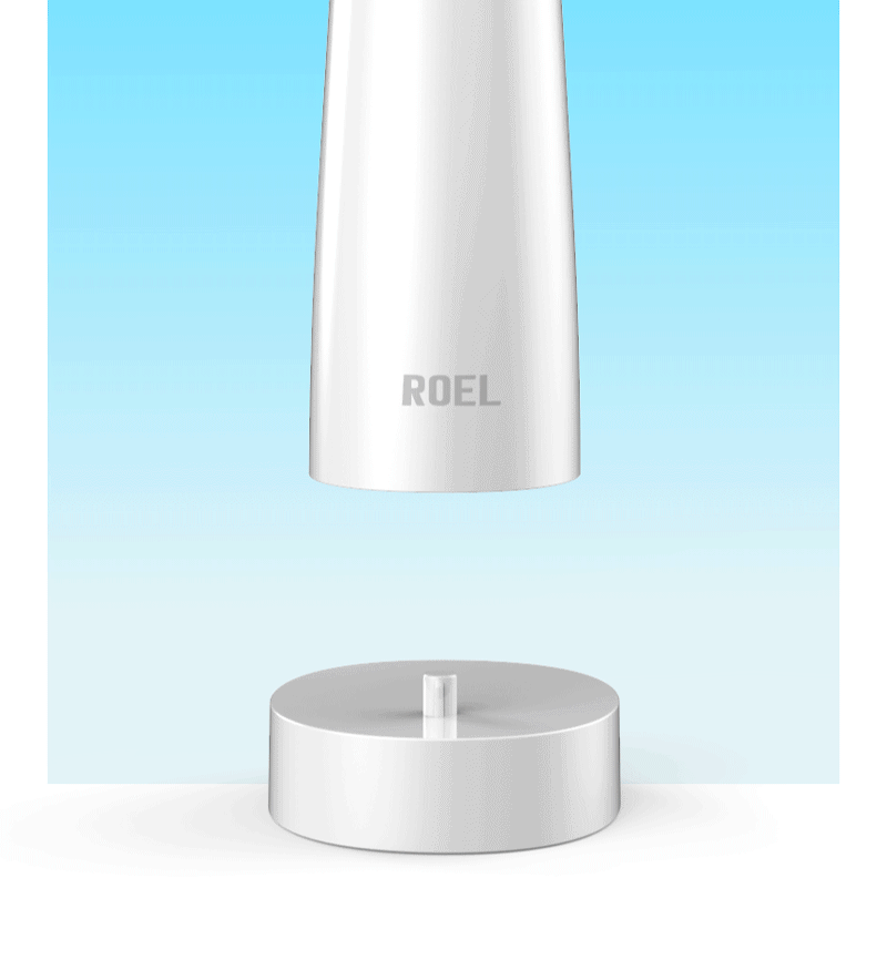 roel01-d06.gif