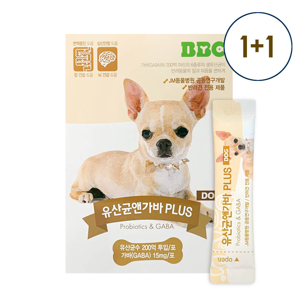 [1+1할인행사][비비씨]강아지 유산균앤 가바 장 영양제 프로바이오틱스 1개월 30포