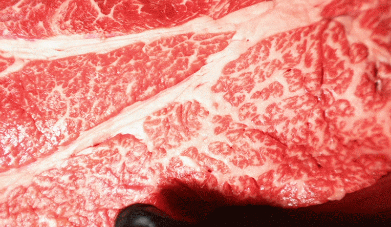 yuy3-9-d.gif