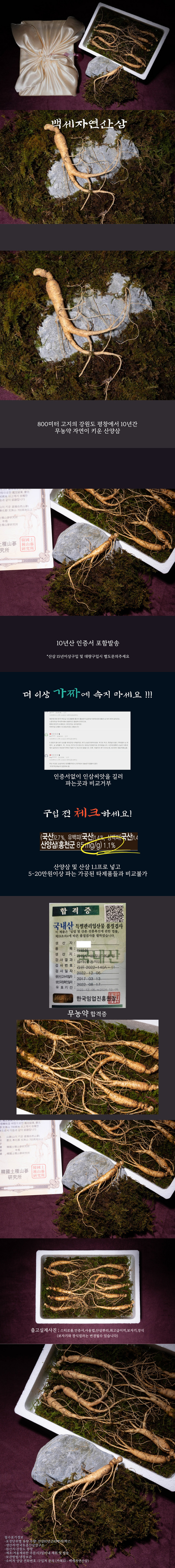 [고급포장] [백세자연산삼] 무농약 설삼 귀하고 먹기편한 강원도 평창 800고지 10년산 한국 토종 야생산양삼 선물세트 5뿌리 상세 1