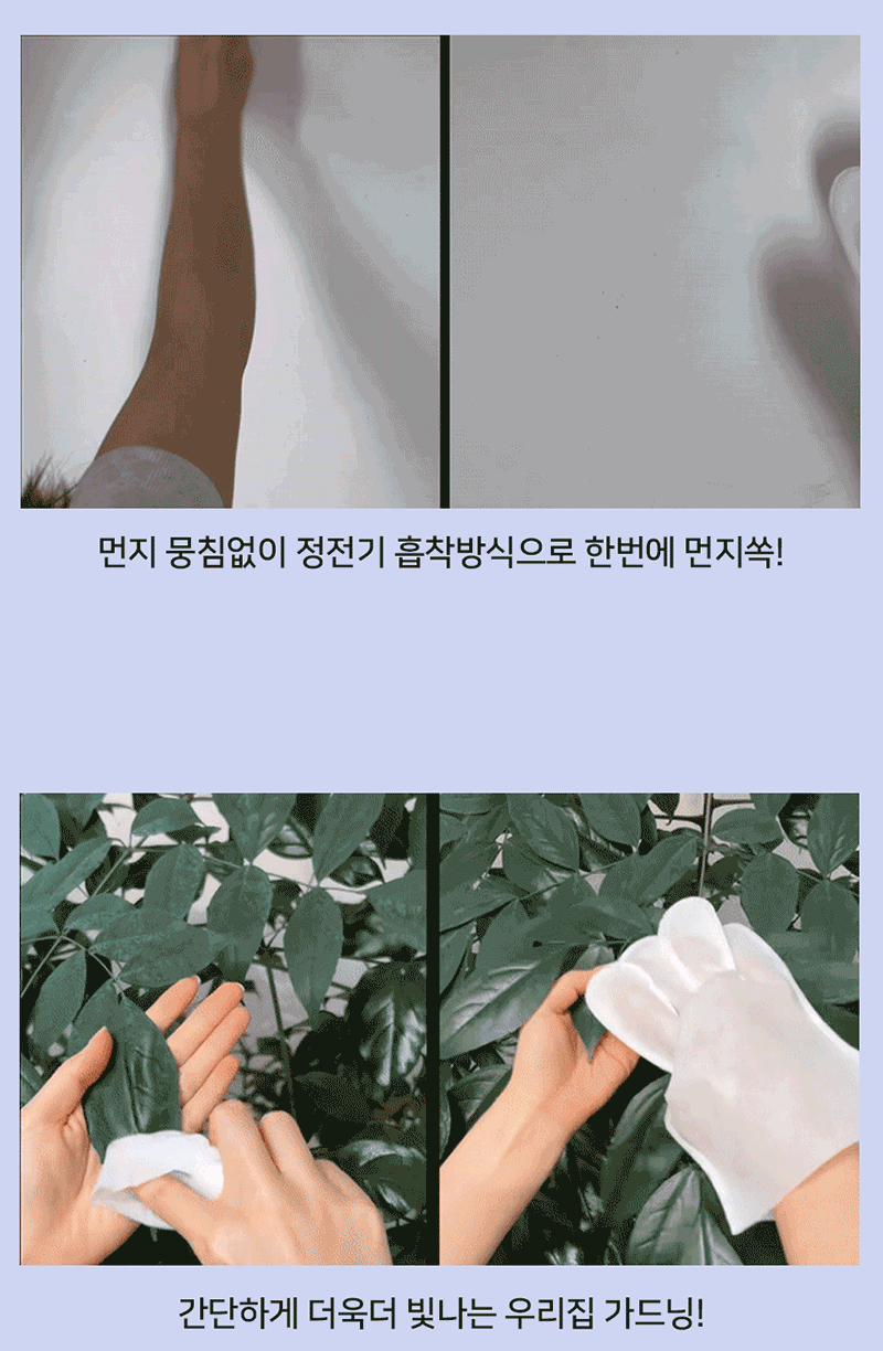 ioi12-5-d.gif