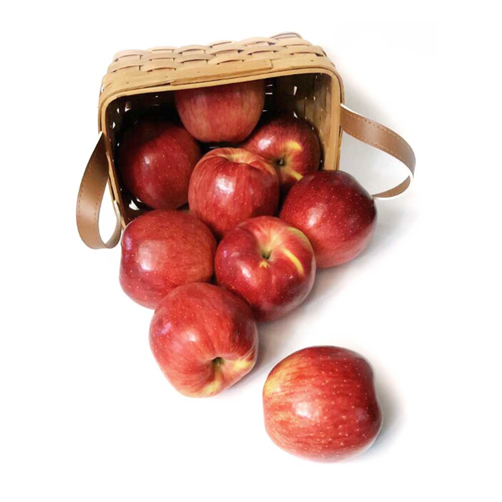 [청송사과] 선물세트 5k_17과내