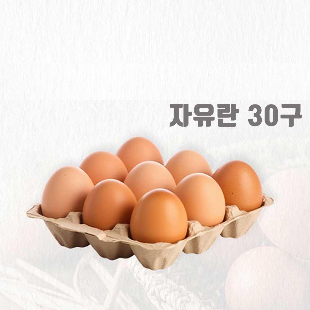 [한국바이오농산] 클로렐라를 먹고 자유롭게 자란 방사 무항생제 계란 대란 30구 x 2