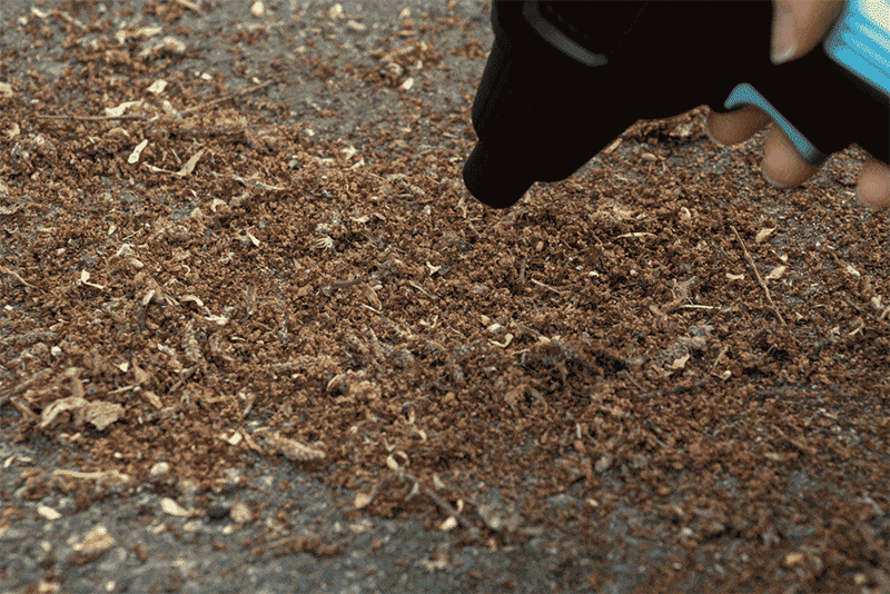 mj-d3-25.gif