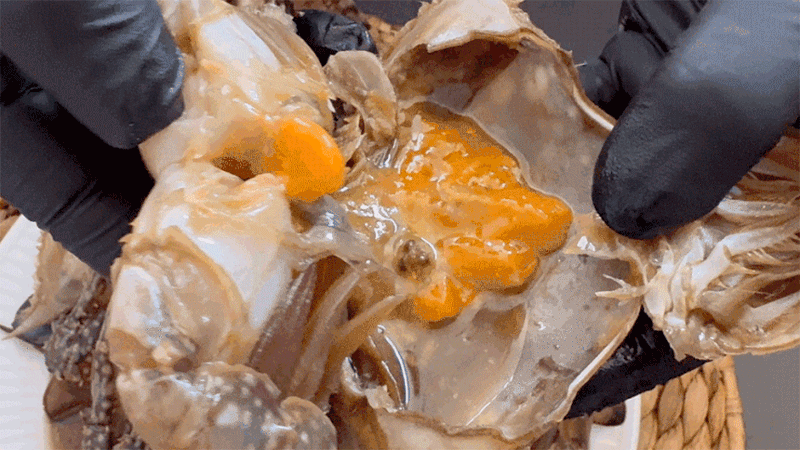 myr05-d01.gif