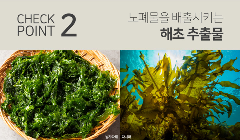 코즈볼 시투안 디토 샴푸 260ml 상세 10