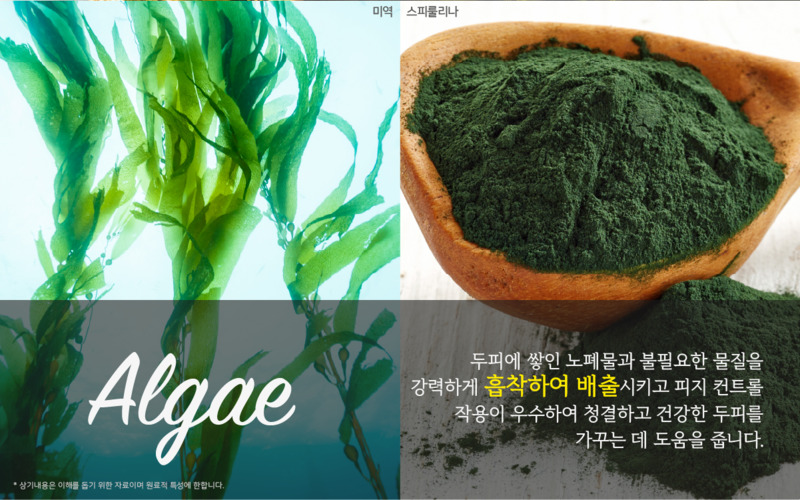 코즈볼 시투안 디토 샴푸 260ml 상세 11