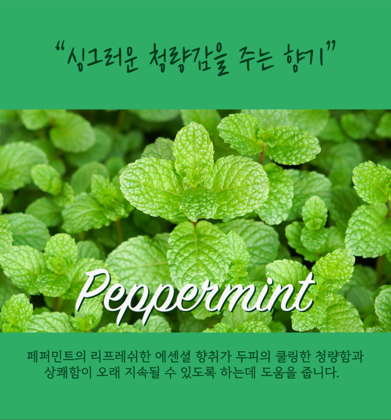 코즈볼 시투안 디토 샴푸 260ml 상세 13