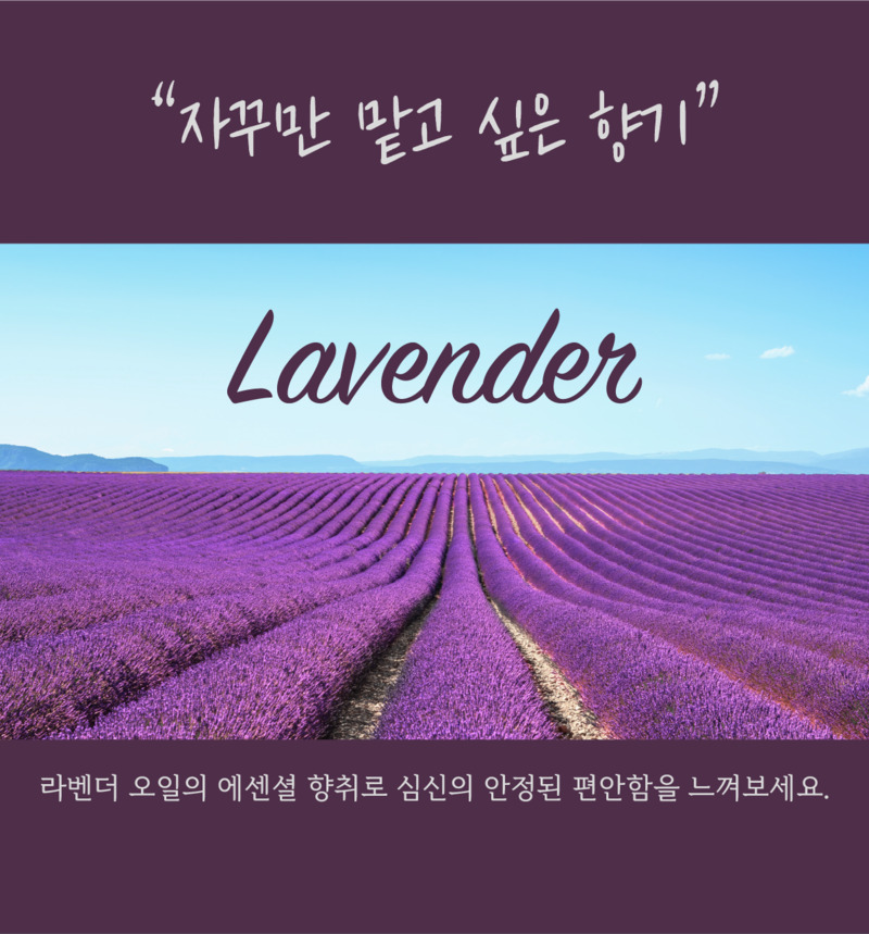 코즈볼 시투안 디토 바디워시 260ml 상세 13