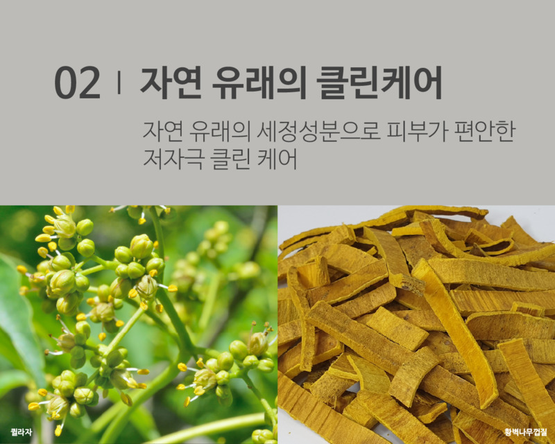 코즈볼 시투안 디토 바디워시 260ml 상세 4