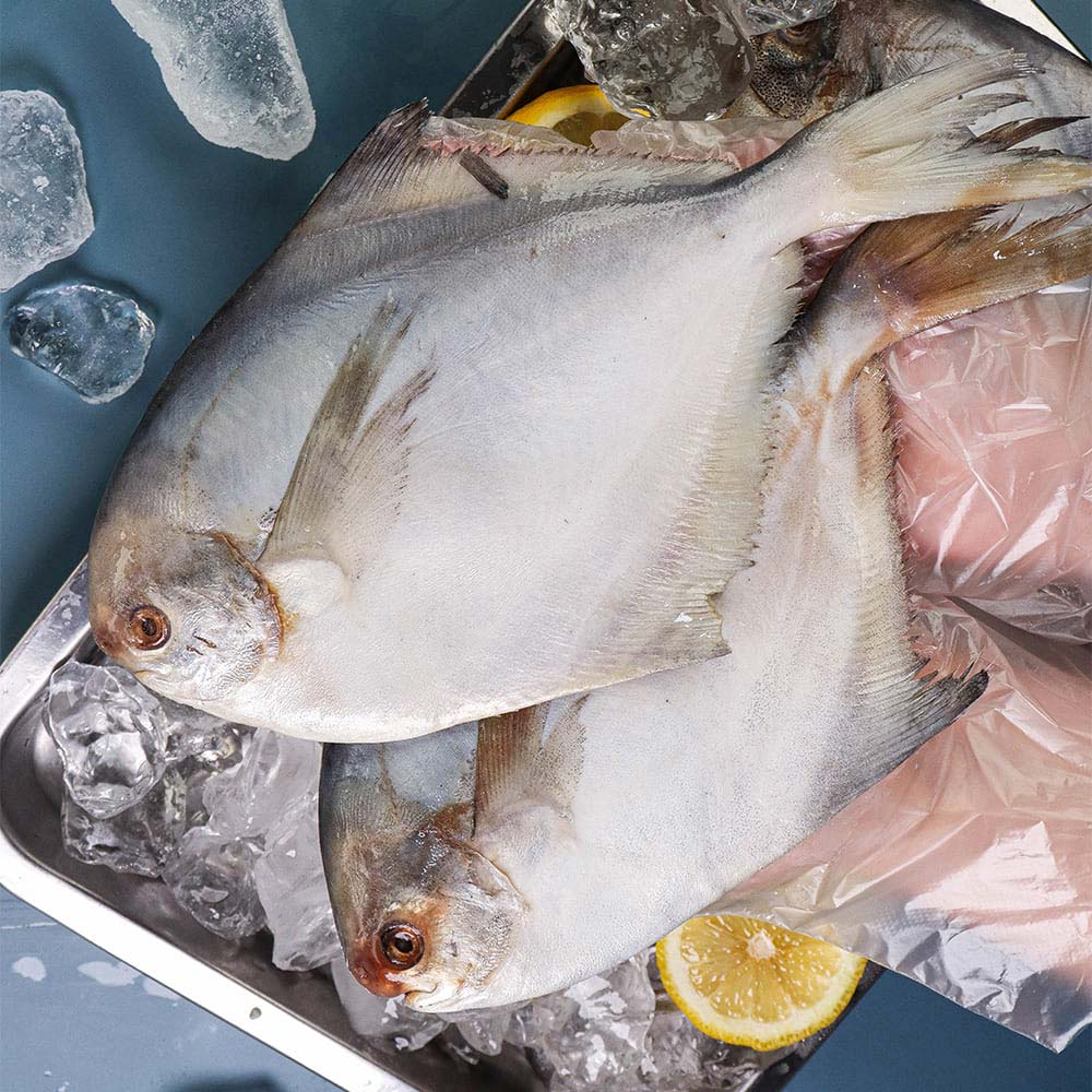 바다의 귀족이라 불리는 국내산병어 1kg (4-11미)