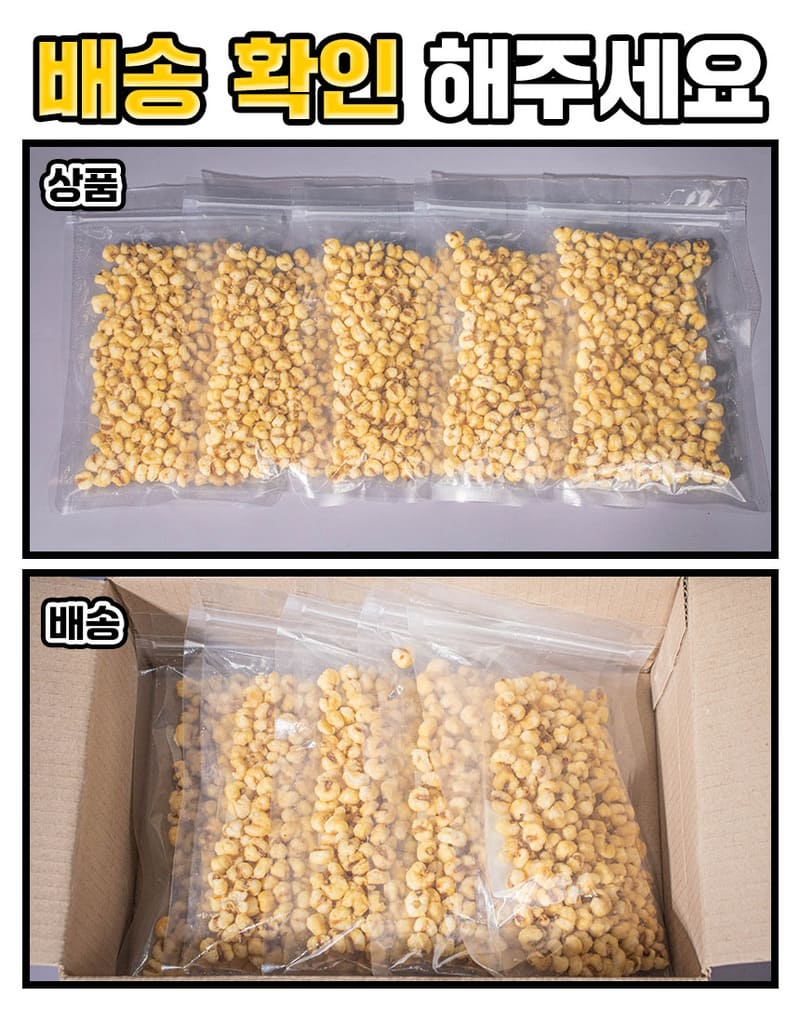 zetu05-d17.jpg