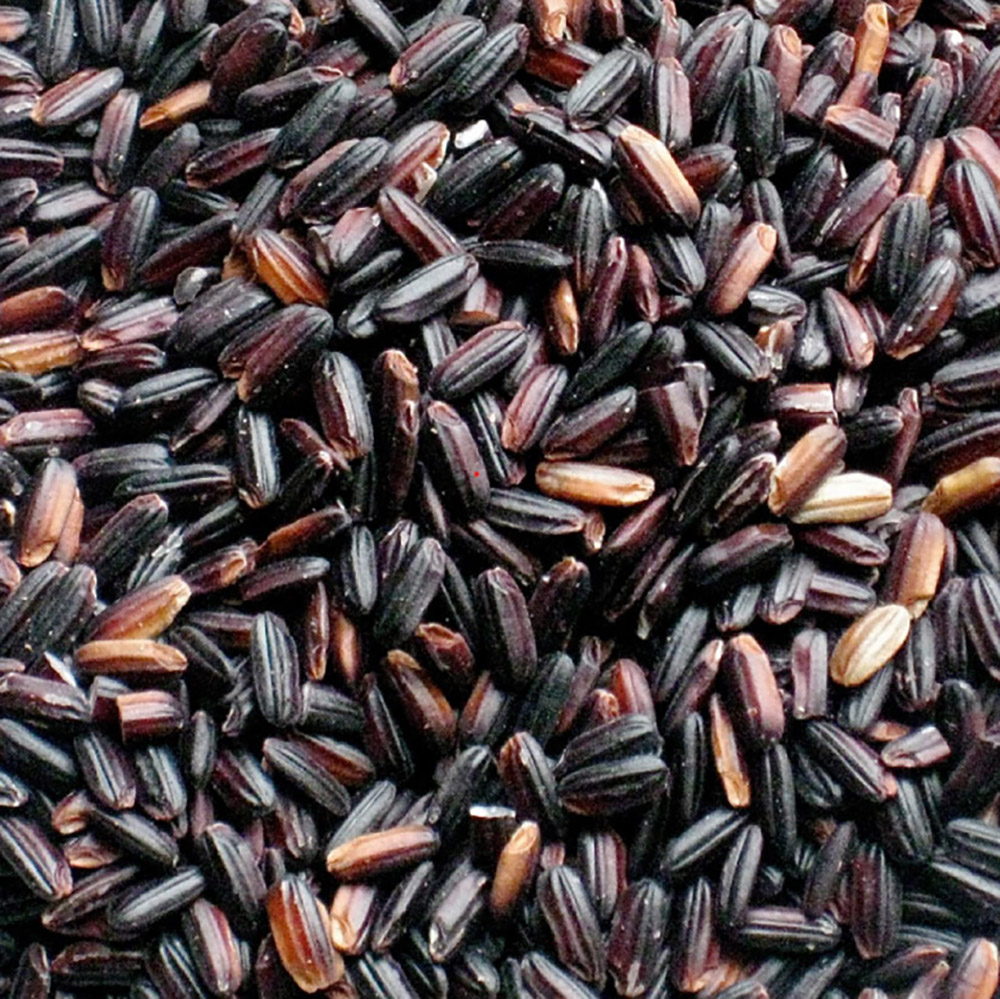 25년산 국산 흑미 1kg 3봉(특품)