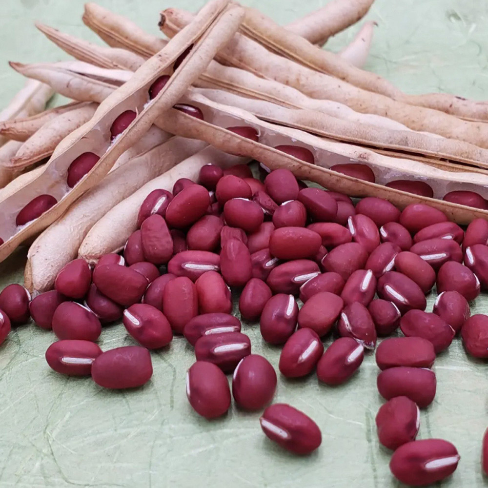 25년산 국산 팥(적두) 1kg(특품)
