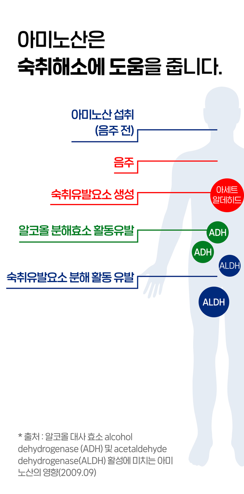 nyts-d1-11.jpg