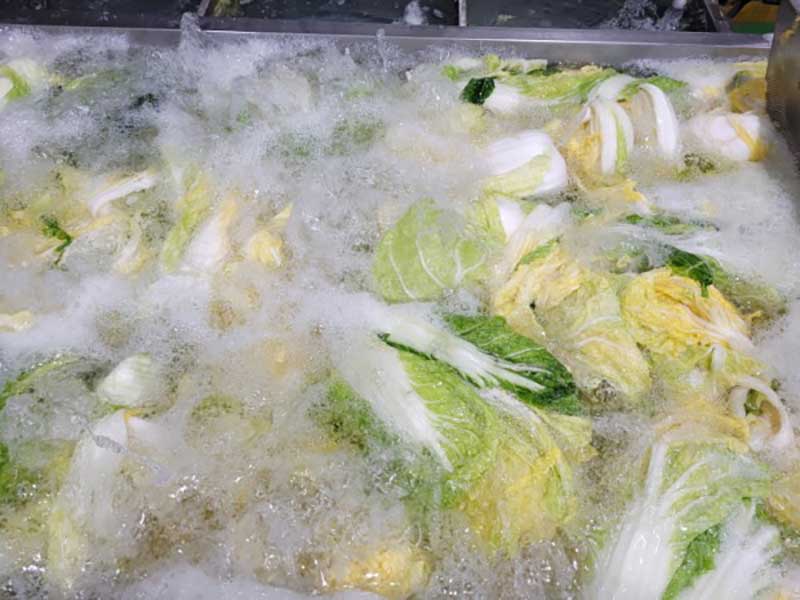 cc-kimchi-d07.jpg