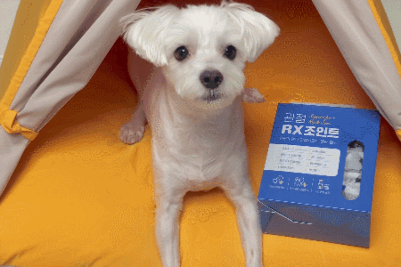 prs-d21-7.gif