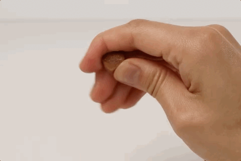 prs-d22-11.gif