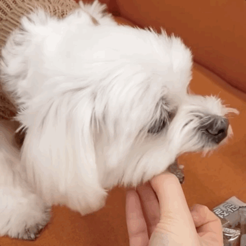 prs-d4~d6-2.gif