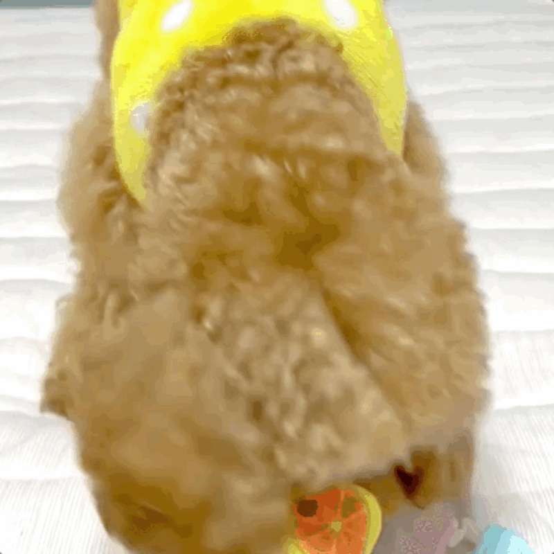 prs2-d21-2.gif