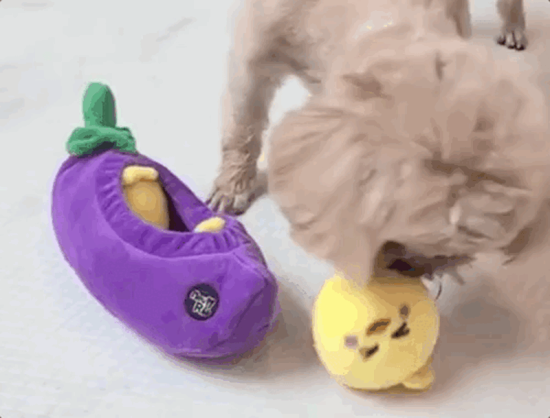 prs2-d23-1.gif