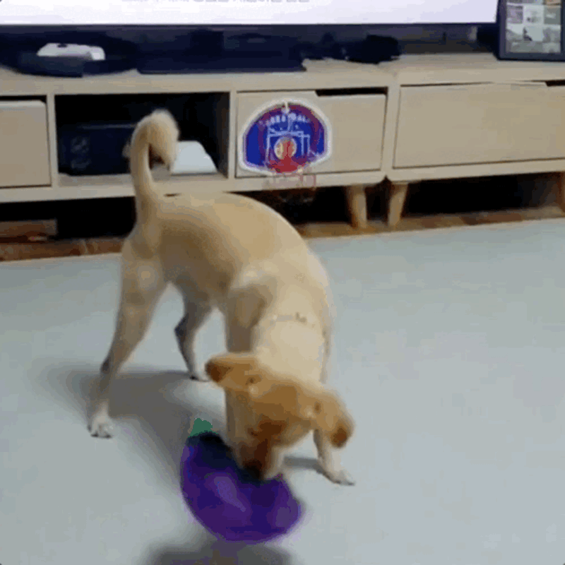 prs2-d23-2.gif