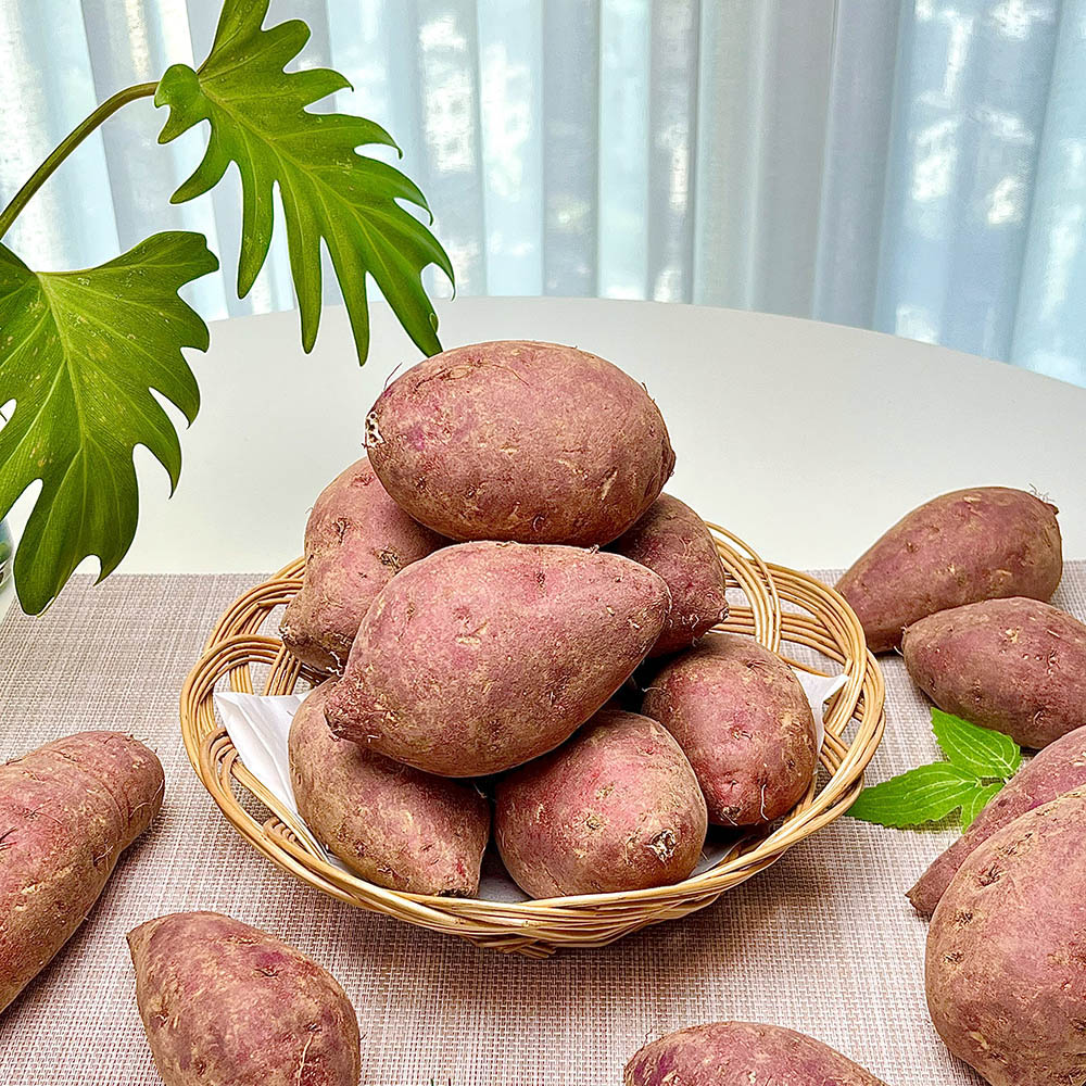 세척 꿀고구마 10kg 한입(20~50g내외)