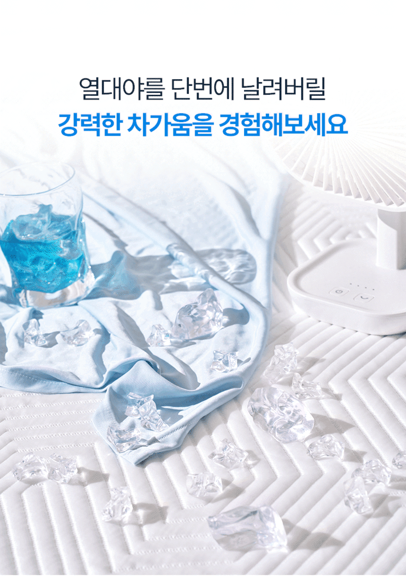 플래비안 듀라론 듀얼 에어메쉬 냉감패드 K + 베개커버(XL) 2장 세트 상세 7