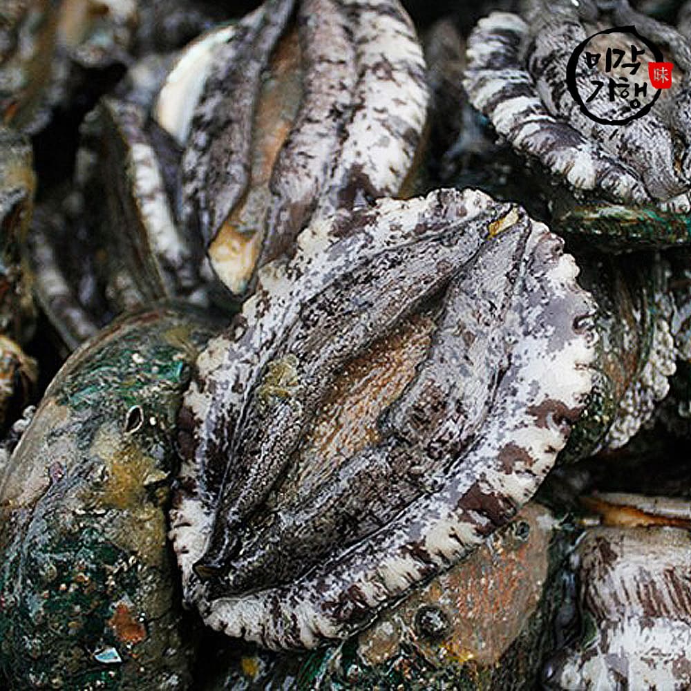 [미각기행] 완도 전복 9-10미 1kg 선물세트(보자기포장)