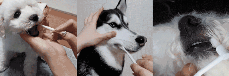 pe5.gif